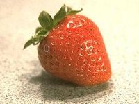 Associated image for entry 'strawberry'